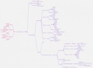 project9 mind map